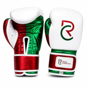 Vanguard Pro Fighting Boxing Gloves